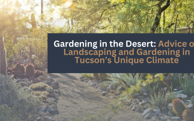 Gardening in the Desert: Tips for a Beautiful Tucson Yard: Advice on Landscaping and Gardening in Tucson’s Unique Climate